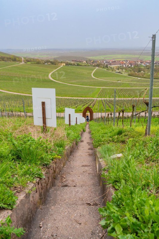 A path leads through vineyards with outdoor artworks and a view of a village in the valley, Jesus Grace Chruch, Weitblickweg, Easter hike, Hohenhaslach, Germany, Europe