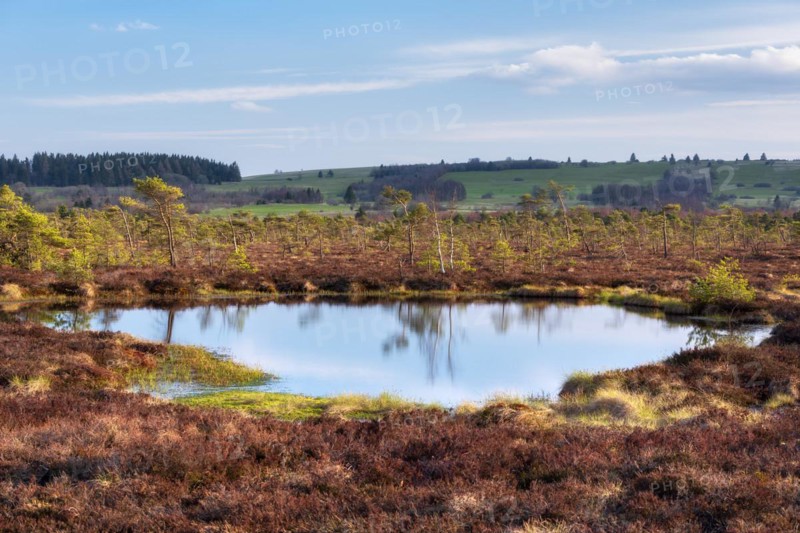Black bog, bog eye, Rhoen Biosphere Reserve, Bischofsheim in der Rhoen, Lower Franconia, Rhoen, Bavarian Rhoen, Bavaria, Germany, Europe