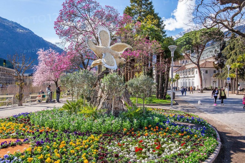 Flower border on the spa promenade in spring, Merano, Val Passiria, Val d'Adige, Burggrafenamt, Alps, South Tyrol, Trentino-Alto Adige, Italy, Europe