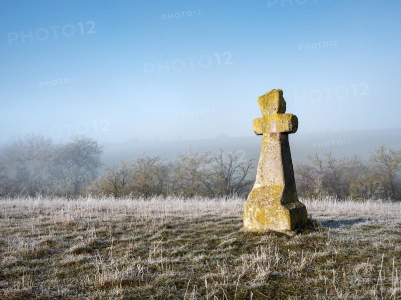 Medieval stone cross in hoarfrost and fog in winter, murder cross, atonement cross, Freyburg (Unstrut), Saxony-Anhalt, Germany, Europe