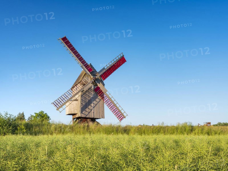 Mill, windmill, trestle windmill, Authausen, Saxony, Germany, Europe