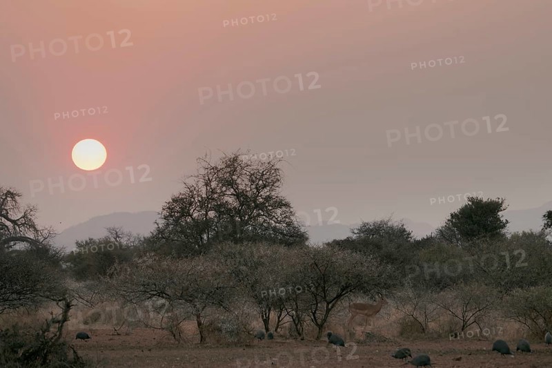 Sunrise, Limpopo, South Africa, Africa