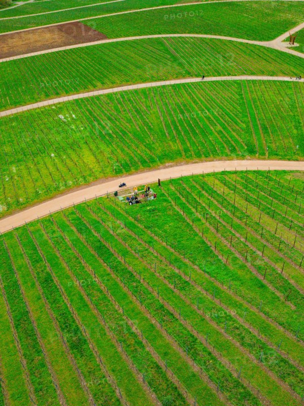 Aerial view of a winding country road meandering through green agricultural fields, Jesus Grace Chruch, Weitblickweg, Easter hike, Hohenhaslach, Germany, Europe