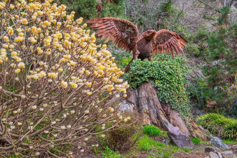 Spring blossom with eagle sculpture on the Gilf promenade, Merano, Val Passiria, Adige Valley, Burggrafenamt, Alps, South Tyrol, Trentino-Alto Adige, Italy, Europe