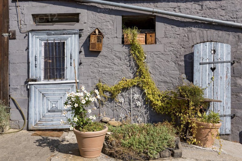 Old farmhouse, facade, decorated, flower pots, dipladenia (Mandevilla boliviensis), knotweed (Fallopia baldschuanica), weathered wooden door with heart, bird house, nesting box, idyll, romantic, Nidda, Vogelsberg, Wetterau, Hesse, Germany, Europe