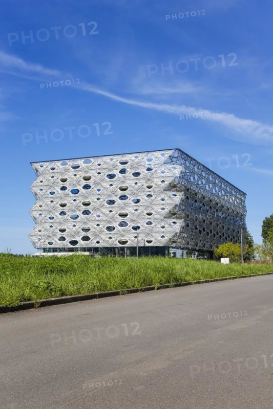 Reutlingen University, Reutlingen University, Texoversum, German University Building Award 2024 for TEXOVERSUM, modern architecture, facade made of carbon and glass fibres, mesh, innovative, identity-creating, unique facade, campus, place of learning, special, extraordinary new building for textile courses, light, airy, airy, holes, architectural eye-catcher, university campus, lights, street, young trees, blue sky, meadow, lawn, Reutlingen, Baden-Wuerttemberg, Germany, Europe