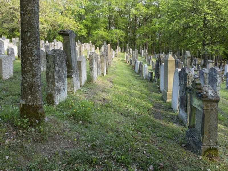 Old Jewish cemetery on the Judenhuegel near Kleinbardorf, municipality of Sulzfeld, Hassberge, Rhoen-Grabfeld, Lower Franconia, Bavaria, Germany, Europe