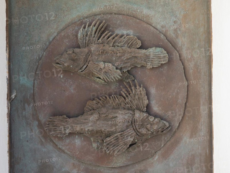 Depiction of fish, sculpture, Stella Maris church, Porto Cervo, Costa Smeralda, Sardinia, Italy, Europe