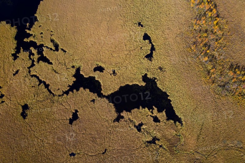 Aerial view over pond in marshland in autumn, fall at Hedmark, Innlandet, Eastern Norway