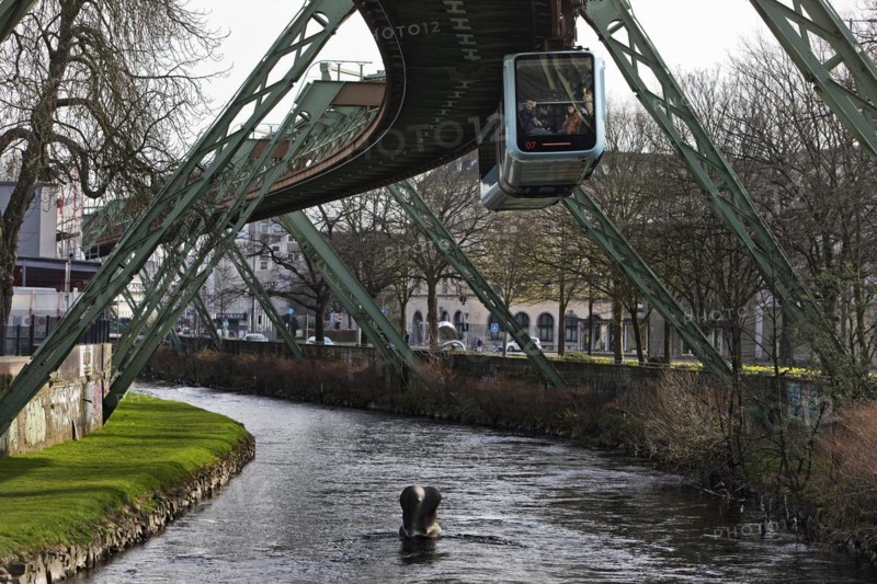 Suspension railway and sculpture by Bernd Bergkemper in the river Wupper commemorating the jump of the elephant Tuffi, Wuppertal, Germany, Europe