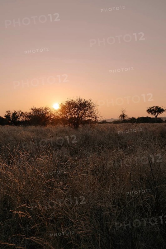 Landscape, Limpopo, South Africa, Africa