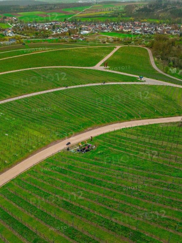 Green vineyard landscape with paths and a village in the background on a cloudy day, Jesus Grace Chruch, Weitblickweg, Easter hike, Hohenhaslach, Germany, Europe