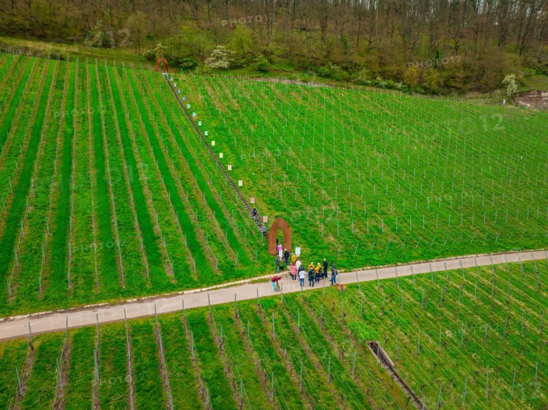 People walking through a vineyard, embedded in a rural landscape, Jesus Grace Chruch, Weitblickweg, Easter hike, Hohenhaslach, Germany, Europe