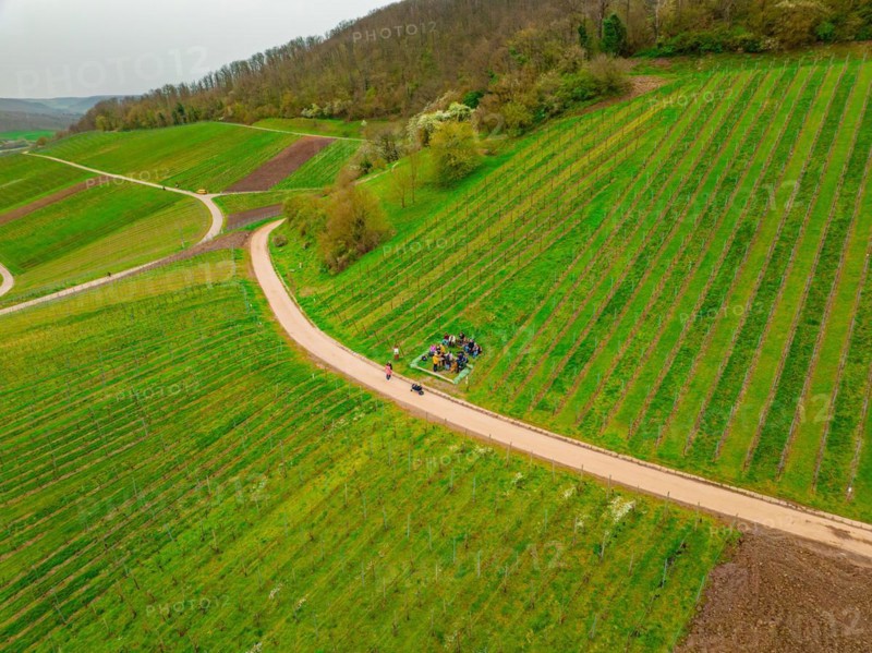 Aerial view of people moving along an agricultural path, Jesus Grace Chruch, Weitblickweg, Easter hike, Hohenhaslach, Germany, Europe