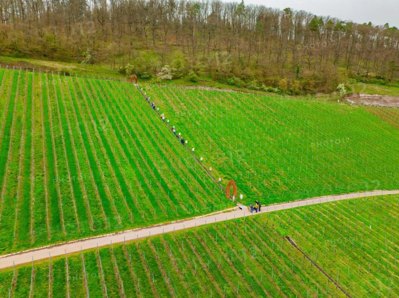 A group of people stand by an art installation in a vineyard, Jesus Grace Chruch, Weitblickweg, Easter hike, Hohenhaslach, Germany, Europe