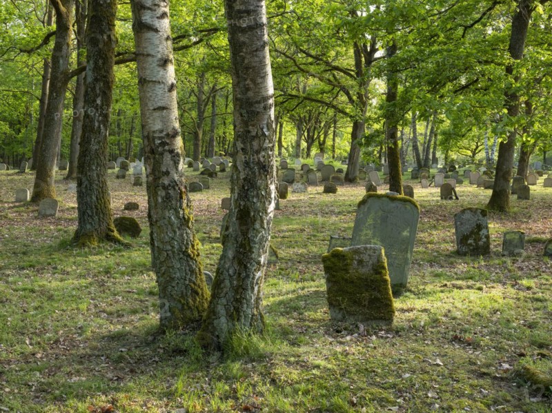 Old Jewish cemetery on the Judenhuegel near Kleinbardorf, municipality of Sulzfeld, Hassberge, Rhoen-Grabfeld, Lower Franconia, Bavaria, Germany, Europe