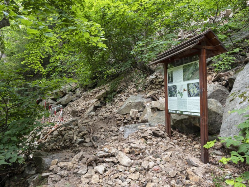 Landslide, mudflow, landslide, rockfall, buried hiking trail in the Bode Valley between Thale and Treseburg, Harz National Park, Thale, Saxony-Anhalt, Germany, Europe