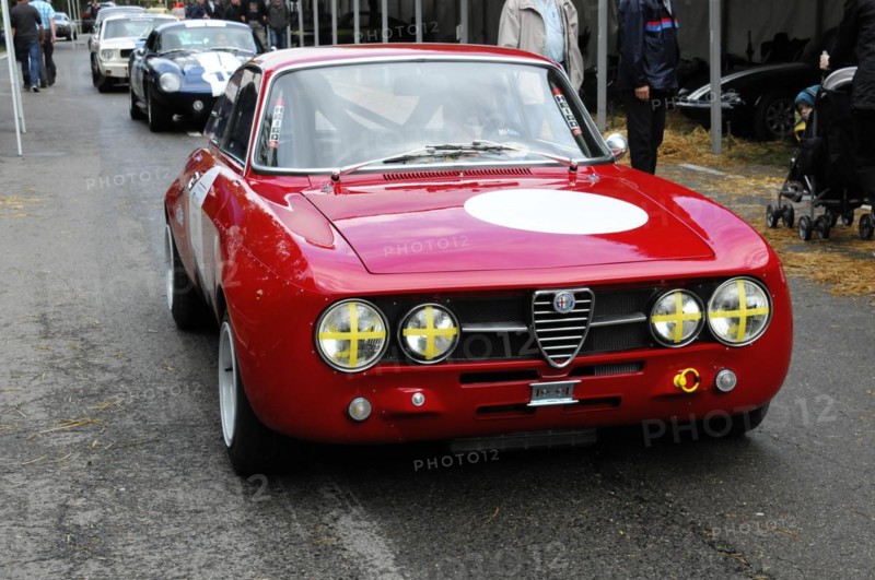 An Alfa Romeo classic car in racing livery with starting number on the side, SOLITUDE REVIVAL 2011, Stuttgart, Baden-Wuerttemberg, Germany, Europe