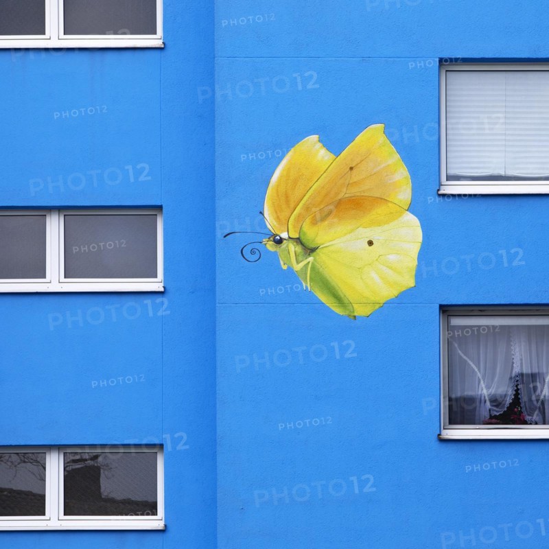 Sunflower house, painted yellow lemon butterfly on a skyscraper, artist Ulrich Allgaier, Wuppertal, North Rhine-Westphalia, Germany, Europe