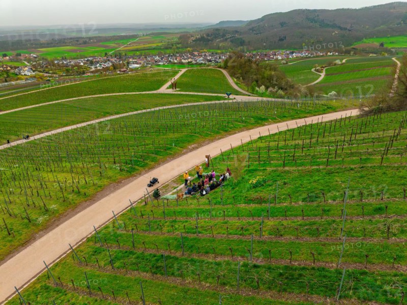 Group of people and cyclists in conversation on a road leading through vineyards, Jesus Grace Chruch, Weitblickweg, Easter hike, Hohenhaslach, Germany, Europe