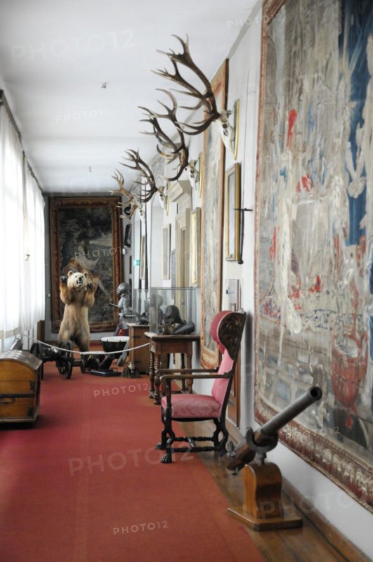 Langenburg Castle, view of a corridor with historical artefacts and hunting trophies on the walls, Langenburg Castle, Langenburg, Baden-Wuerttemberg, Germany, Europe
