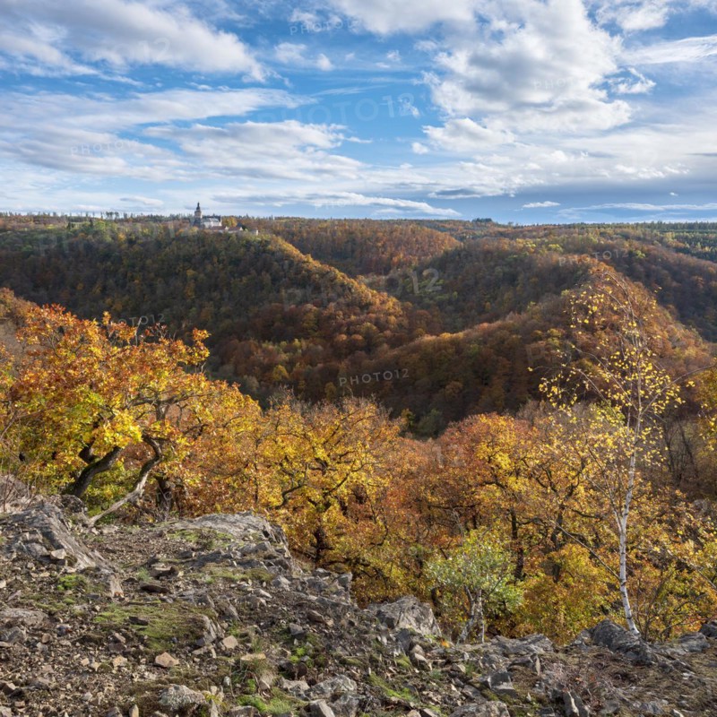 View over autumnal forests in the Selke valley, behind Falkenstein Castle, Harz Mountains, Saxony-Anhalt, Germany, Europe
