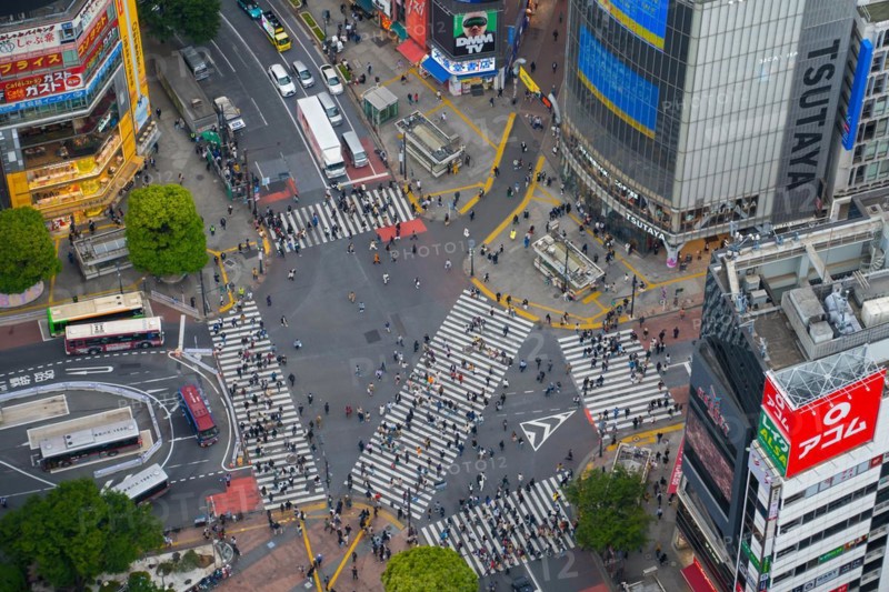 Pedestrians using the Shibuya Scramble Crossing, busy pedestrian intersection in Shibuya, special ward in the capital city Tokyo, Japan, Asia