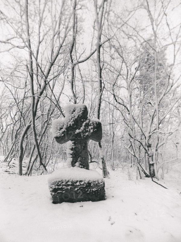 Medieval stone cross in a snow-covered forest in winter, murder cross, atonement cross, Freyburg (Unstrut), Saxony-Anhalt, Germany, Europe