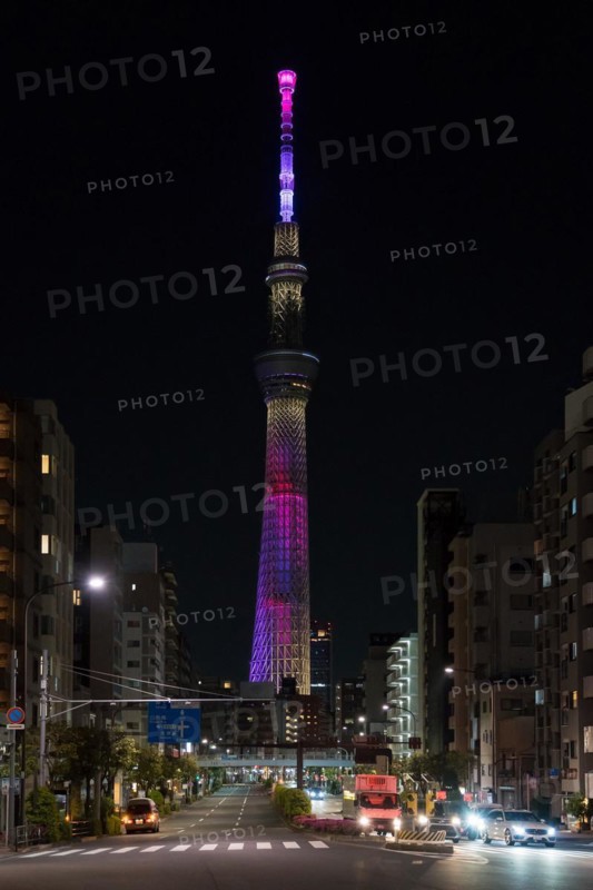 634 meters high Tokyo Skytree, broadcasting and observation tower in Sumida illuminated at night in the city Tokyo, Japan, Asia