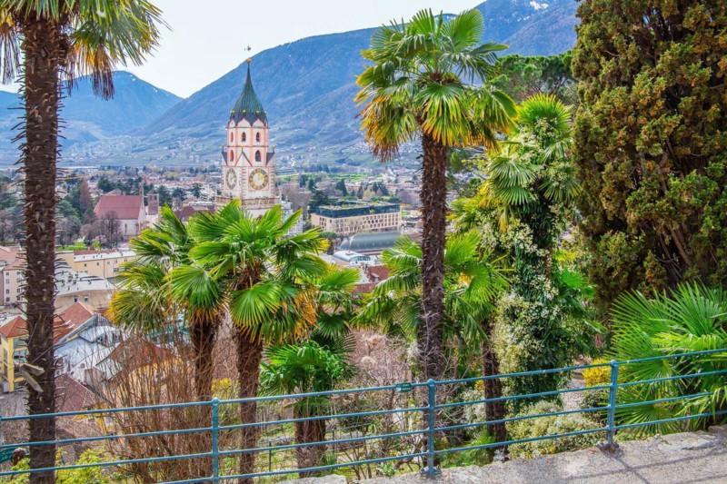 Subtropical vegetation in spring on the Tappeiner promenade with the tower of the parish church, Merano, Pass Valley, Adige Valley, Burggrafenamt, Alps, South Tyrol, Trentino-South Tyrol, Italy, Europe