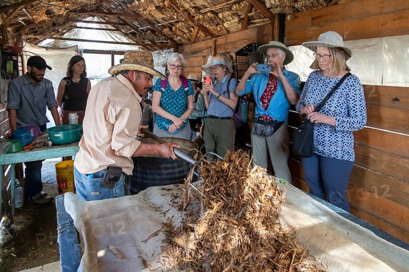 San Pablo Huitzo, Oaxaca, Mexico, Porfirio Morales places a growing medium for oyster mushrooms on a work table. Visitors, who are learning about mushroom farming, will pack the growing medium and mushroom spawn in bags where the mushrooms will grow, Central America