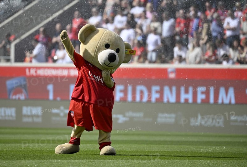 Mascot Paule 1. FC Heidenheim 1846 FCH Teddy, Teddy bear, Steiff, Logo, Voith-Arena, Heidenheim, Baden-Wuerttemberg, Germany, Europe