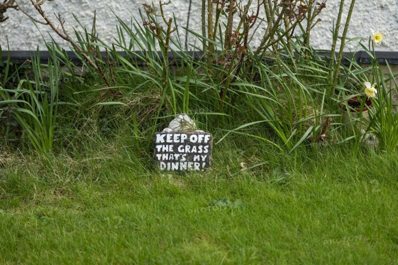 Sign indicating that grass should not be walked on, Malltraeth, Isle of Anglesey, Wales, Great Britain