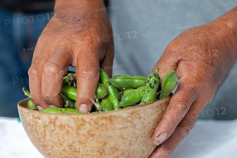 San Pablo Huitzo, Oaxaca, Mexico, Farmers are part of a cooperative that uses agroecological principles. They avoid pesticides and other chemicals, and recycle nutrients through the use of organic fertilizers. A farmer holds produce that he has grown, Central America