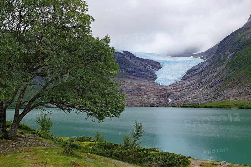 Glacier tongue and lake, Svartisen, Kystriksveien, FV 17, Nordland, Norway, Europe