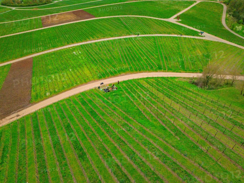 People at a crossroads in a vineyard with a view of a village in the background, Jesus Grace Chruch, Weitblickweg, Easter hike, Hohenhaslach, Germany, Europe