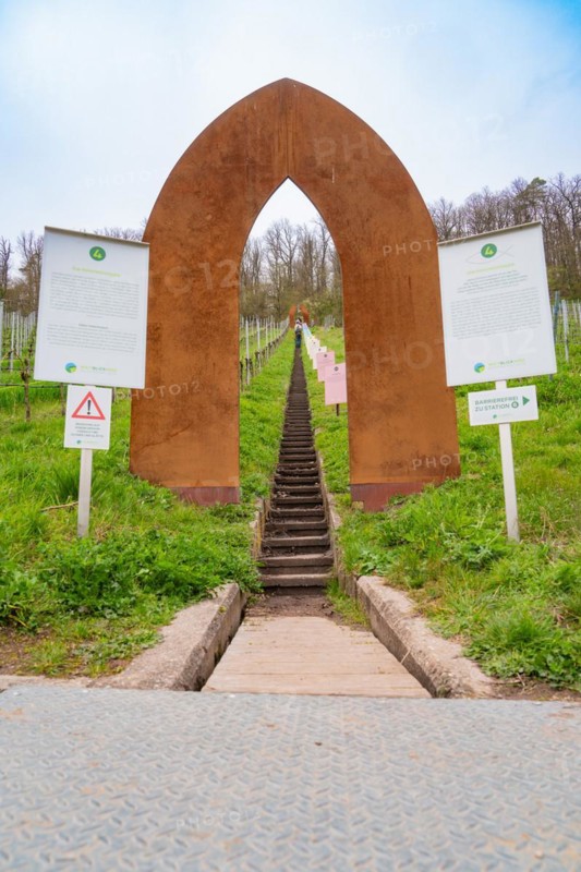 A rust-coloured metal gate marks the entrance to a staircase leading through a vineyard, Jesus Grace Chruch, Weitblickweg, Easter hike, Hohenhaslach, Germany, Europe