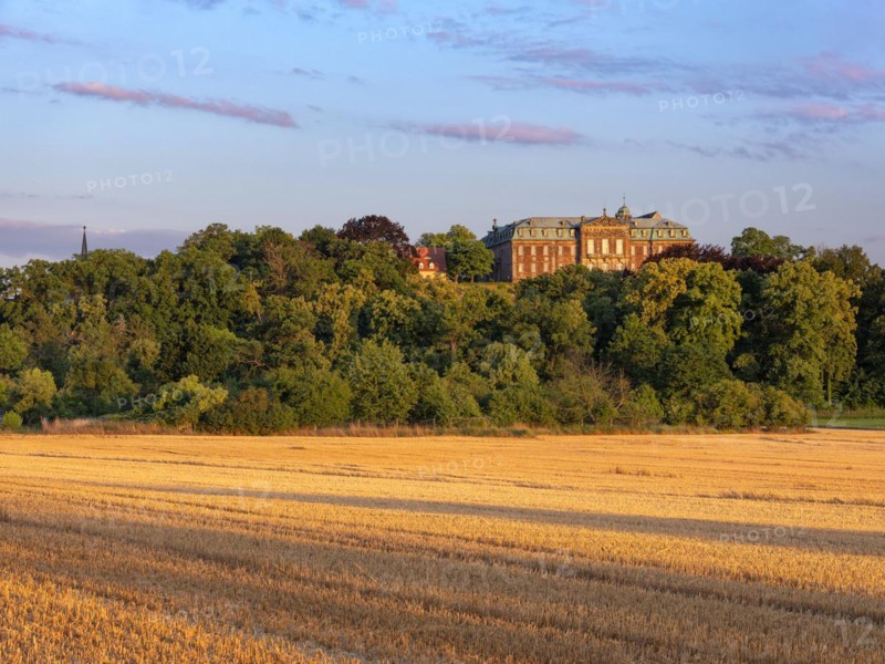 View over stubble field to Burgscheidungen Castle in the evening light, Unstruttal, Burgenlandkreis, Saxony-Anhalt, Germany, Europe