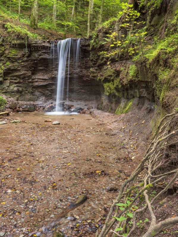Small waterfall at Hoerschbach, Hoerschbach Valley, Swabian-Franconian Forest nature park Park, Murrhardt, Baden-Wuerttemberg, Germany, Europe