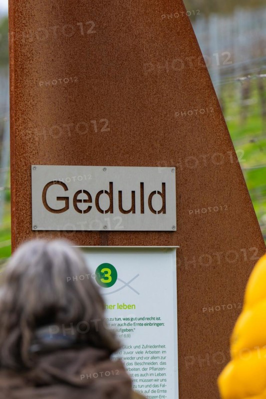 Close-up of a sign with the inscription 'patience' on a learning path in a vineyard, Jesus Grace Chruch, Weitblickweg, Easter hike, Hohenhaslach, Germany, Europe