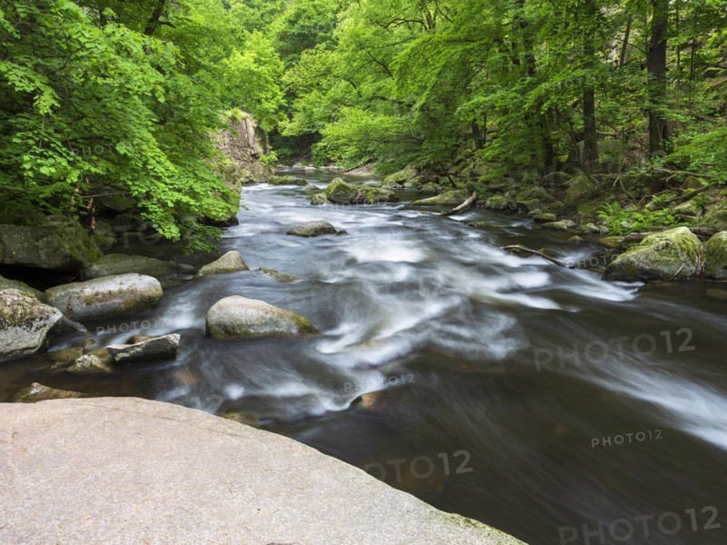 The River Bode with rapids and boulders in the Bode Valley between Thale and Treseburg, Harz National Park, Thale, Saxony-Anhalt, Germany, Europe