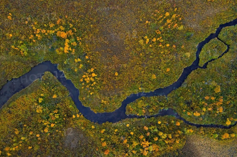 Aerial view over meandering stream in moorland in autumn, fall at Hedmark, Innlandet, Eastern Norway