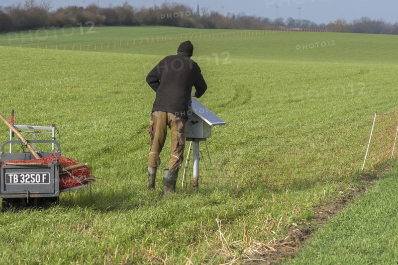 Shepherd attaches a solar panel to the electric fence of the pasture, Mecklenburg-Western Pomerania, Germany, Europe