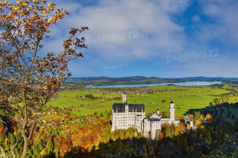 Neuschwanstein Castle near Hohenschwangau, Romantic Road, Ostallgaeu, Bavaria, Germany, Europe
