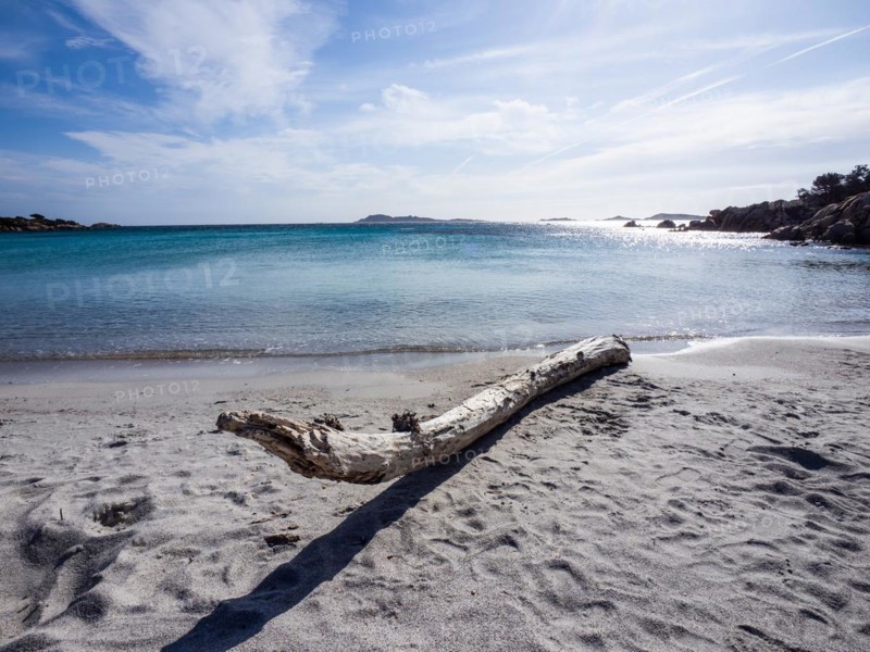 Tree trunk on a lonely beach, Capriccioli beach, Costa Smeralda, Sardinia, Italy, Europe