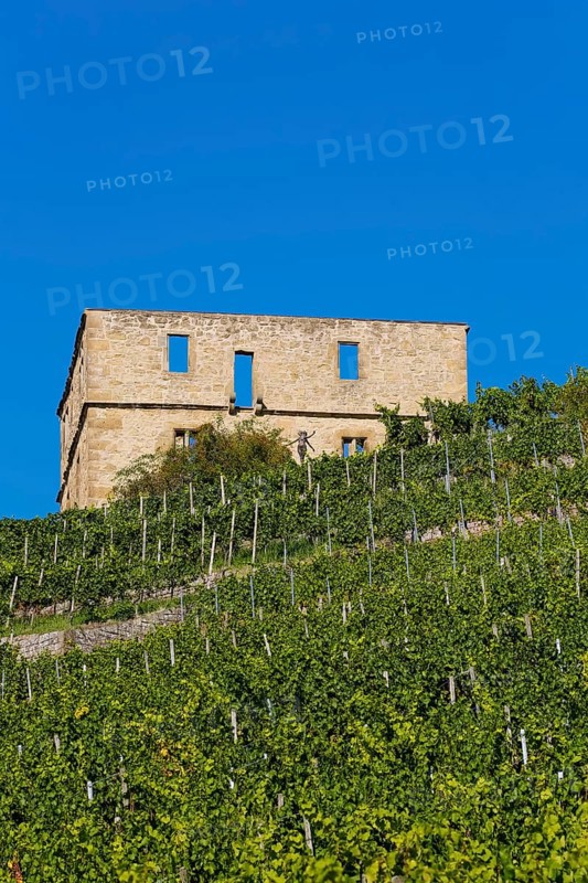 Yburg, Y-Burg, Yberg, Eibenburg, ruins of a hillside castle, historic building, built in the early 14th century, excursion destination, vineyard, Stetten vineyards, plants, Kernen im Remstal, Rems-Murr-Kreis, Baden-Wuerttemberg, Germany, Europe