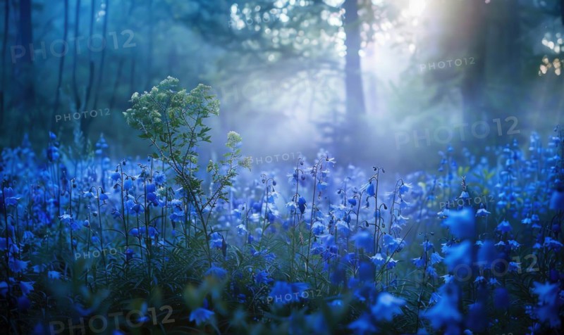 Bellflowers in a woodland clearing, closeup view, selective focus AI generated