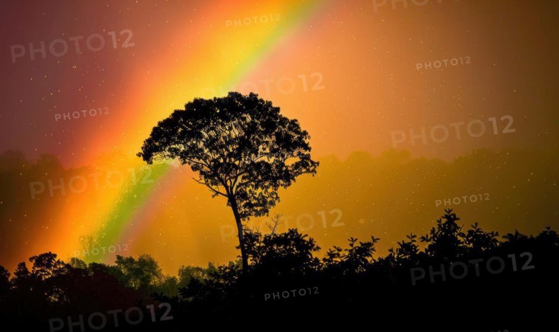 Colorful rainbow after spring rain, rainbow on dark cloudy sky AI generated