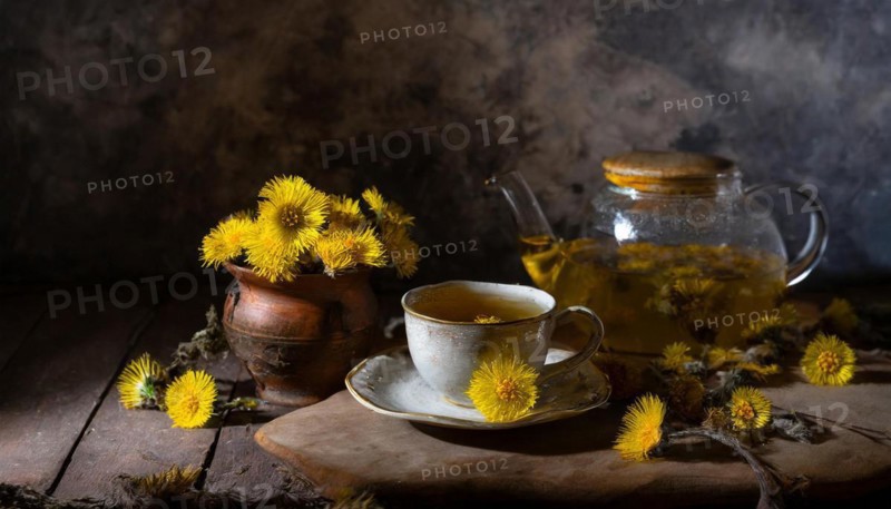 Rustic still life with a cup of coltsfoot tea, teapot and coltsfoot on a wooden table, medicinal plant coltsfoot, Tussilago farfara, KI generated, AI generated
