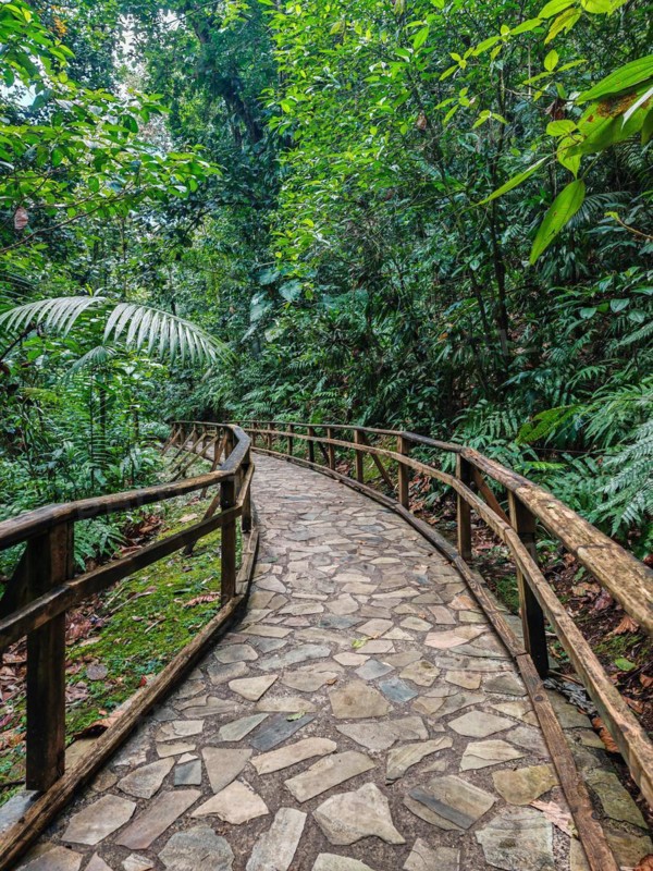 Jardin Botaniqu de Deshaies, botanical garden with flora and fauna in Guadeloupe, Caribbean, French Antilles